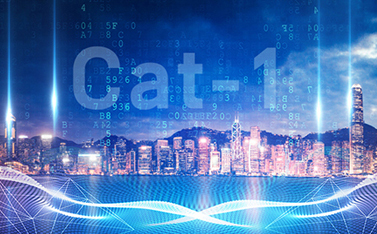 工信部重磅發(fā)文，Cat-1/NB-IoT再次站上新風口