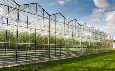 因?yàn)橐粓鼍C藝備受關(guān)注，智慧大棚到底有多神奇